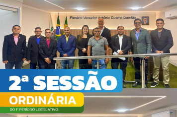  2ª Sessão Ordinária do 1º Período Legislativo de 2025